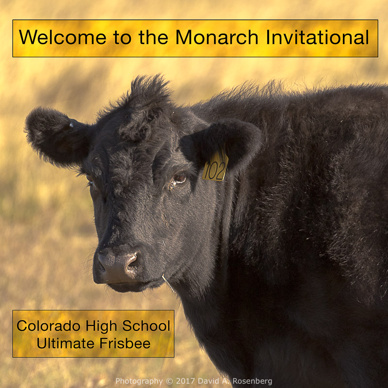 20171014_ultimate_001